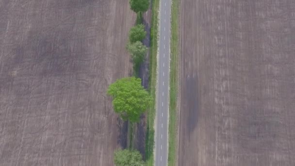 Безпілотник Летить Шосе Між Селами Краях Фермерського Поля Яке Висаджується — стокове відео