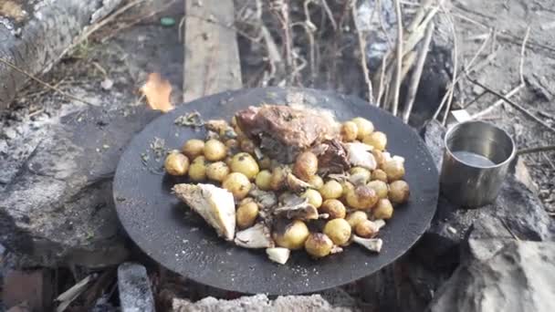 Ψαράς Κοντά Λίμνη Που Ετοιμάζει Πατάτες Κοτόπουλο Στη Φωτιά Συνθήκες — Αρχείο Βίντεο