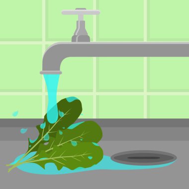 Çamaşır roka dokunun