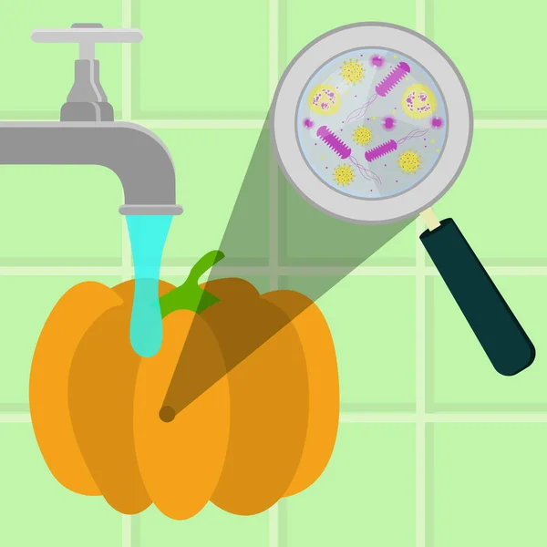 Washing contaminated pumpkin — Stock Vector