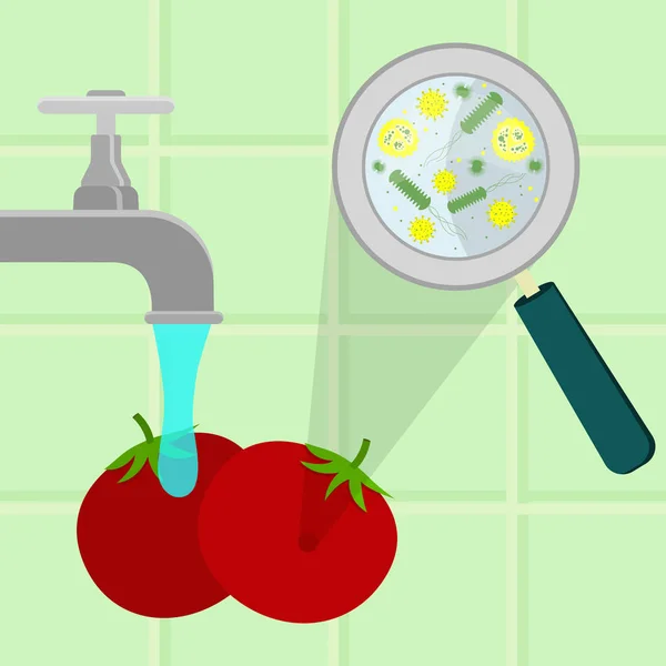 Lavage des tomates contaminées — Image vectorielle