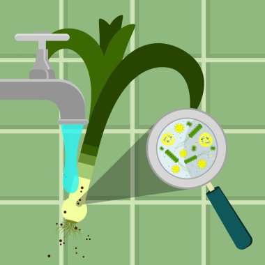 Çamaşır kirlenmiş pırasa