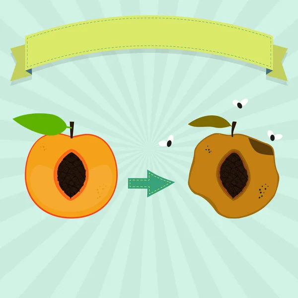 Fauler und frischer Pfirsich — Stockvektor