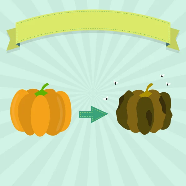 Rotten and fresh pumpkin — Stock Vector