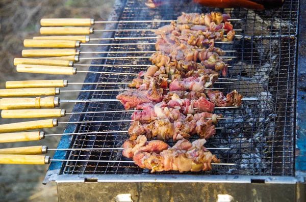 Açık Havada Taze Lezzetli Koyun Kebabı — Stok fotoğraf