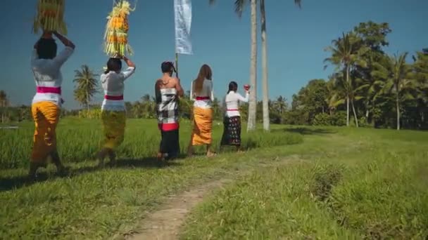 Balinesische Prozession durch Reisfelder mit Opfergaben — Stockvideo