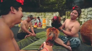 Horozları ile kadın arka planda oynayan iki Balili adam