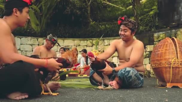 Deux balinais jouant avec des coqs, des femmes en arrière-plan — Video