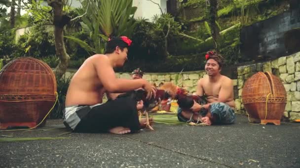 Two balinese man playing with roosters, women in background — Stock Video