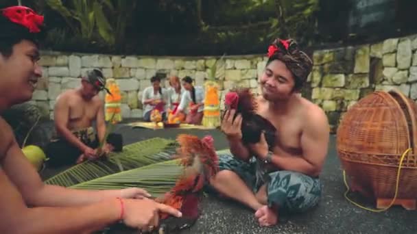 Deux balinais jouant avec des coqs, des femmes en arrière-plan — Video