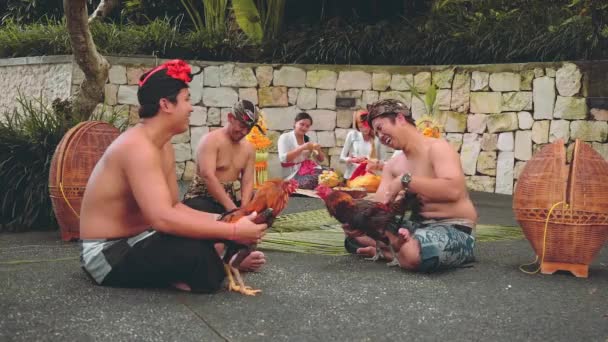 Twee balinese man spelen met hanen, vrouwen in de achtergrond — Stockvideo