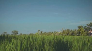 İki kadın pirinç tarlaları arasında bisiklet sürme