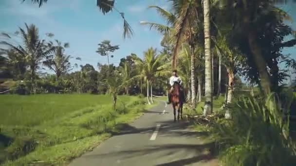 Balinese reitet Pferd auf Straße zwischen Reisfeldern — Stockvideo