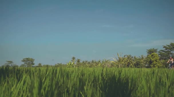 Dos mujeres montando bicicletas entre campos de arroz — Vídeos de Stock