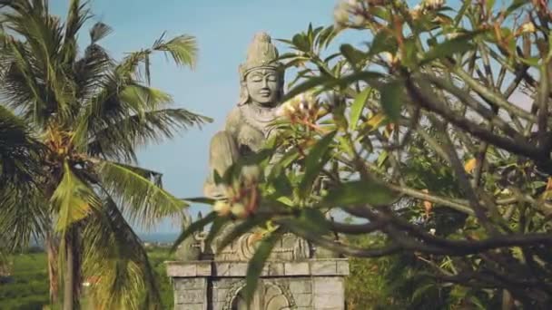 Stone hindu statue from behind frangipani tree — Stock Video