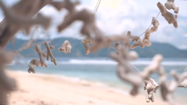 Girlande aus trockenen weißen Korallen am Strand — Stockvideo