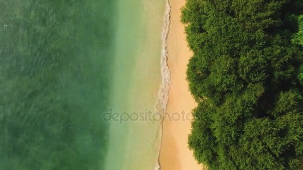 Luchtfoto bovenaanzicht van het schone strand met helder water en groene bomen — Stockvideo