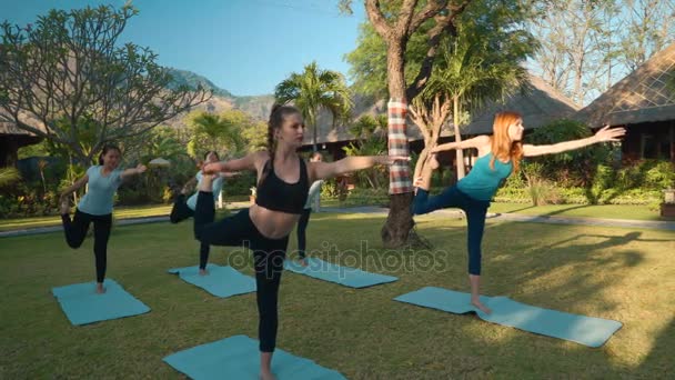 Mujeres haciendo yoga al aire libre en césped verde — Vídeos de Stock