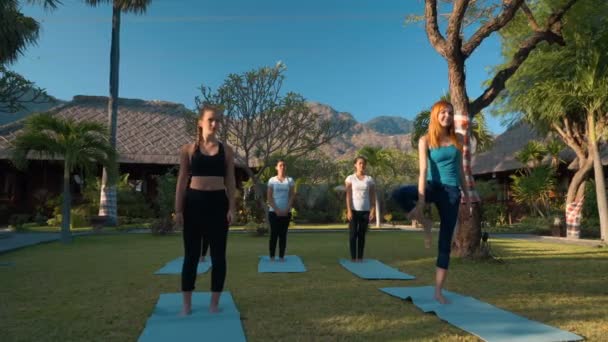 Femmes faisant du yoga en plein air sur la pelouse verte — Video