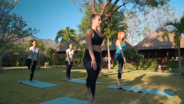 Frauen machen Yoga im Freien auf grünem Rasen — Stockvideo