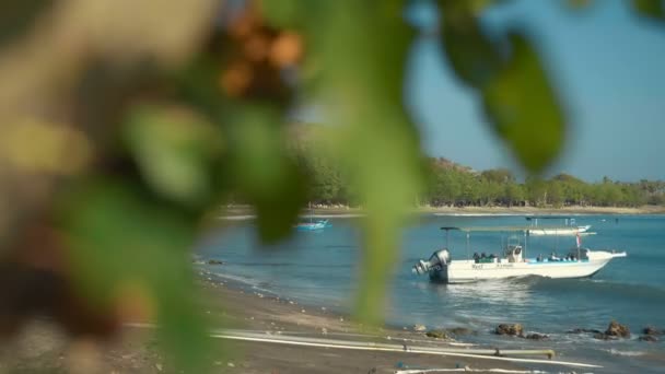 Pemuteran пляж з човнів та пагорби — стокове відео