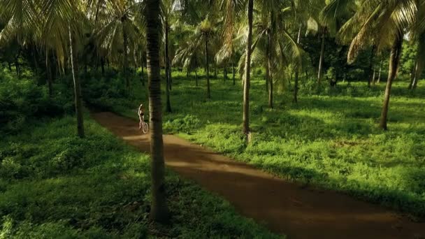 Вид с воздуха на девушку, катающуюся на велосипеде между пальмами — стоковое видео