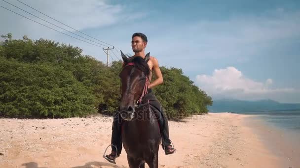 Indonesian man on horse standing on beach — Stock Video