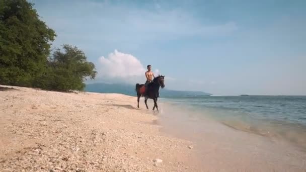 Indonésien homme équitation cheval sur la plage — Video