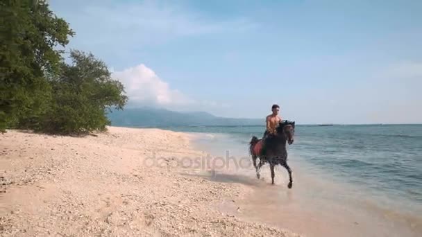 Indonesiano uomo equitazione cavallo su spiaggia — Video Stock