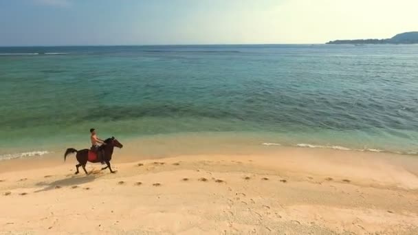 Luftaufnahme eines indonesischen Mannes, der am Strand ein schwarzes Pferd reitet — Stockvideo