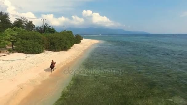 Luftaufnahme eines indonesischen Mannes, der am Strand ein schwarzes Pferd reitet — Stockvideo