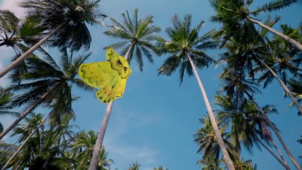 Желтый змей летит между пальмами — стоковое видео