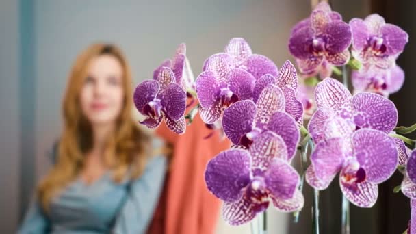 Mujer joven bebe té detrás de flor de orquídea púrpura — Vídeo de stock