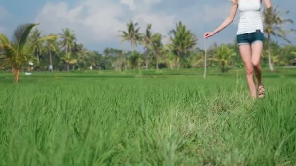 Młoda kobieta idąc przez pole ryżu — Wideo stockowe