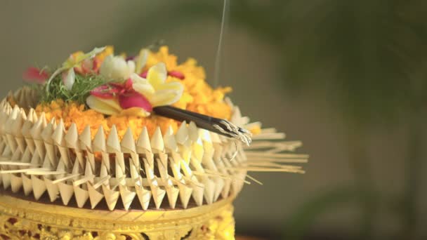 Balinesische Blumen für Opfergaben — Stockvideo