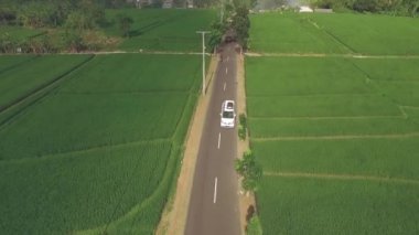 Beyaz araba hava görünümünü pirinç tarlaları arasındaki yol üzerinde