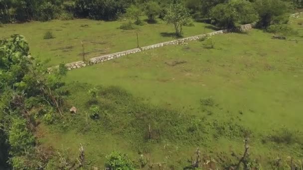 Vue aérienne des falaises côtières de Bali couvertes de buissons 