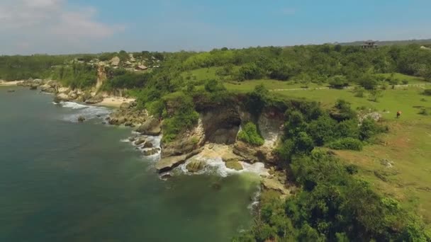 Vista aérea de los acantilados de la costa de Bali cubiertos por arbustos — Vídeo de stock