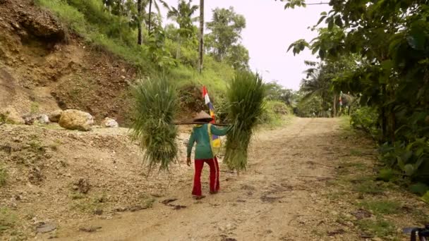 Lokale Indonesische man met gras op rug — Stockvideo