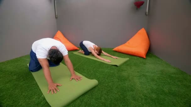 Private Yoga-Stunde in einem Zimmer — Stockvideo