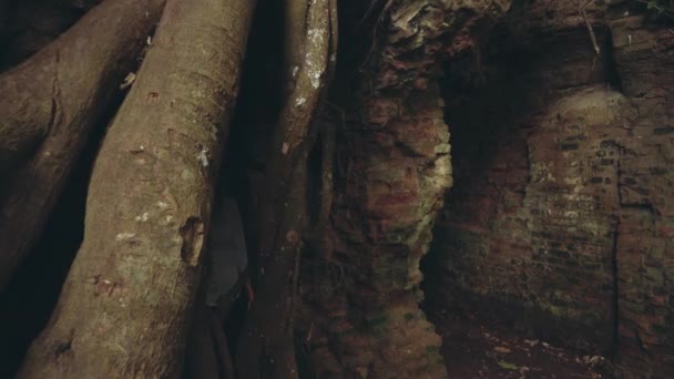 Genç kadın eski kale kalıntıları keşfetmek — Stok video