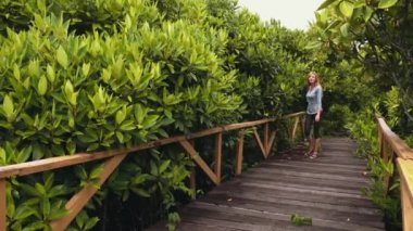 Ahşap tahta mangroves içinde yürüyen genç kadın