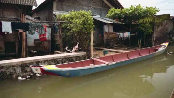 Casas de aldeia no rio na Indonésia — Vídeo de Stock