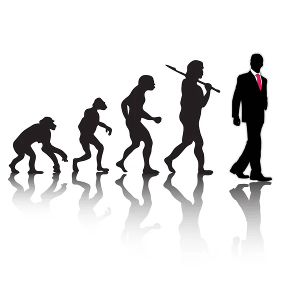 De evolutie, silhouet mensen. Darwin s theorie. Vectorillustratie — Stockvector