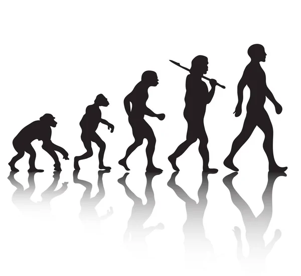 Еволюція, силуетні люди. Теорія Дарвіна. Векторні ілюстрації — стоковий вектор