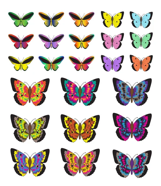 Kelebek seti, beyaz arka planda izole edilmiş. Çok renkli kelebekler. Vektör illüstrasyonu, klip sanatı.