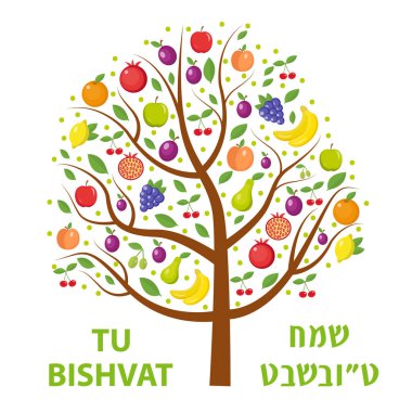 Tu Bishvat tebrik kartı, poster. Yahudi tatil, yılbaşı ağaçları. Ağaç ile farklı meyve, meyve. Vektör çizim.