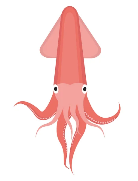 Στοιχείο λογότυπο εικονιδίου Squid. Επίπεδο στυλ, απομονωμένο σε λευκό φόντο. Εικονογράφηση διάνυσμα, τέχνη κλιπ. — Διανυσματικό Αρχείο