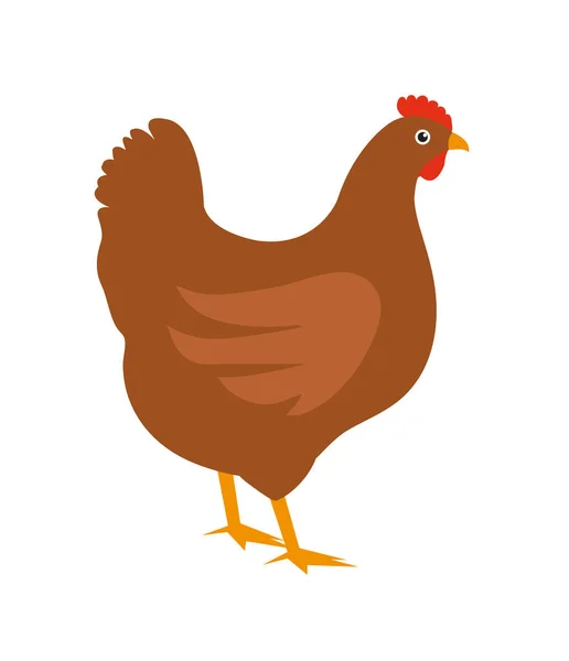 Icône poulet, style plat. Isolé sur fond blanc. Illustration vectorielle, clip-art. — Image vectorielle
