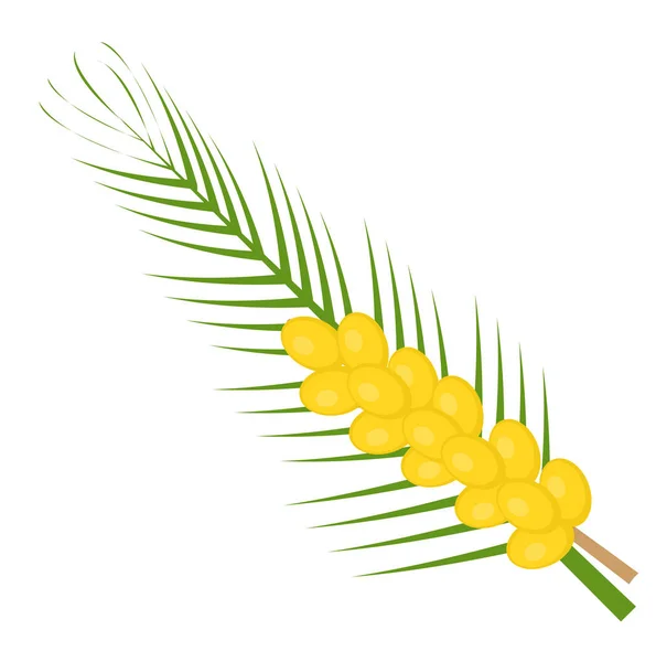 Date fresche icona piatta, stile cartone animato. Frutto giallo isolato su fondo bianco. Illustrazione vettoriale, clip-art. — Vettoriale Stock